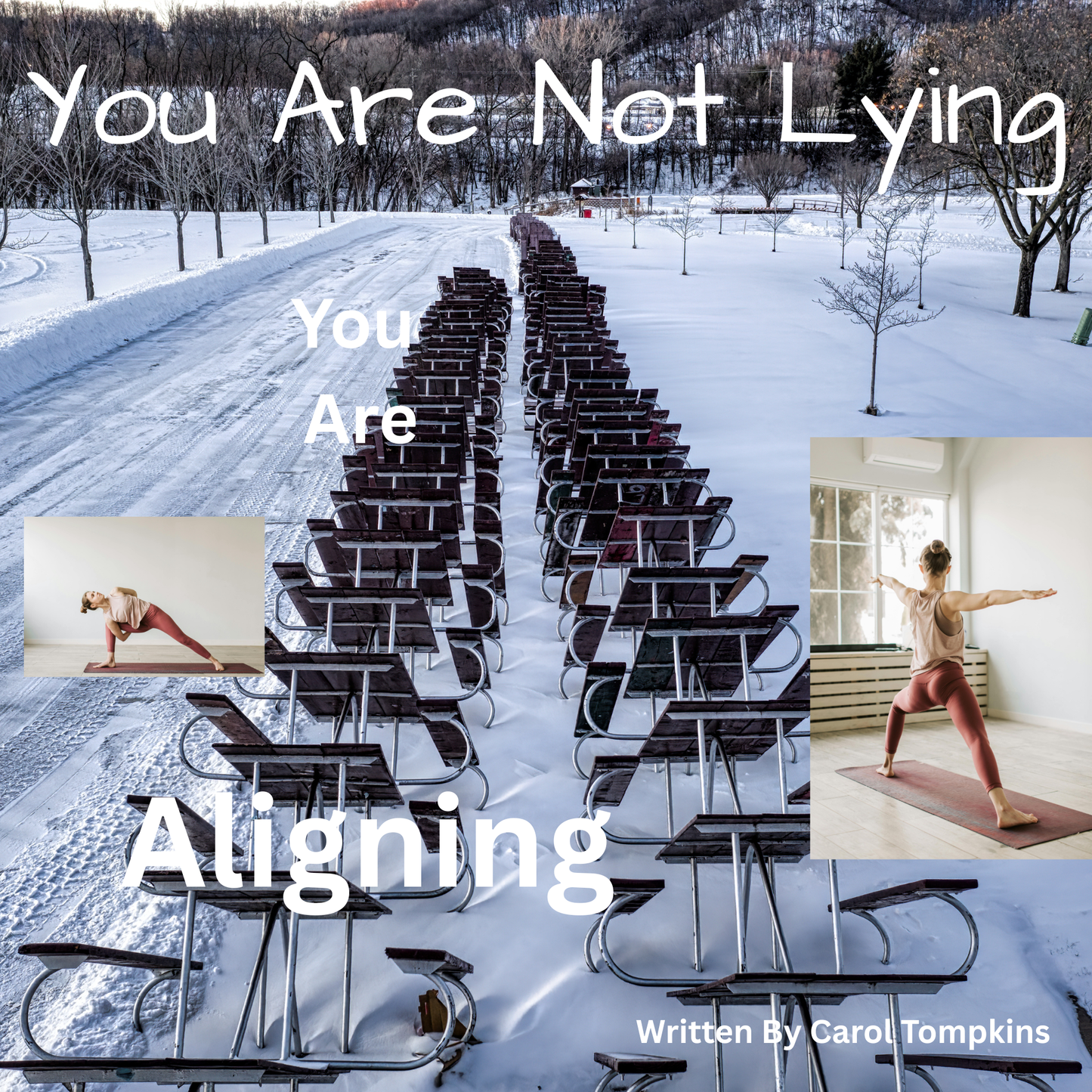 You Are Not Lying, You Are Aligning